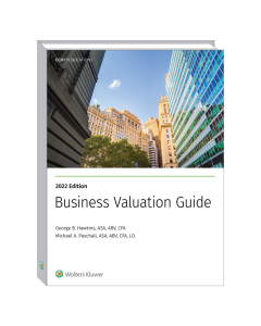 Business Valuation Guide (2022)